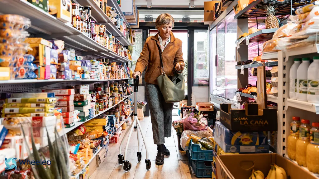 Wheeleo kit com23.webp